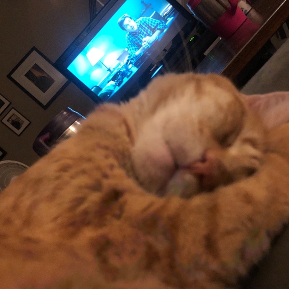 Meet your Posher, Leigh - Picture 1 of 1